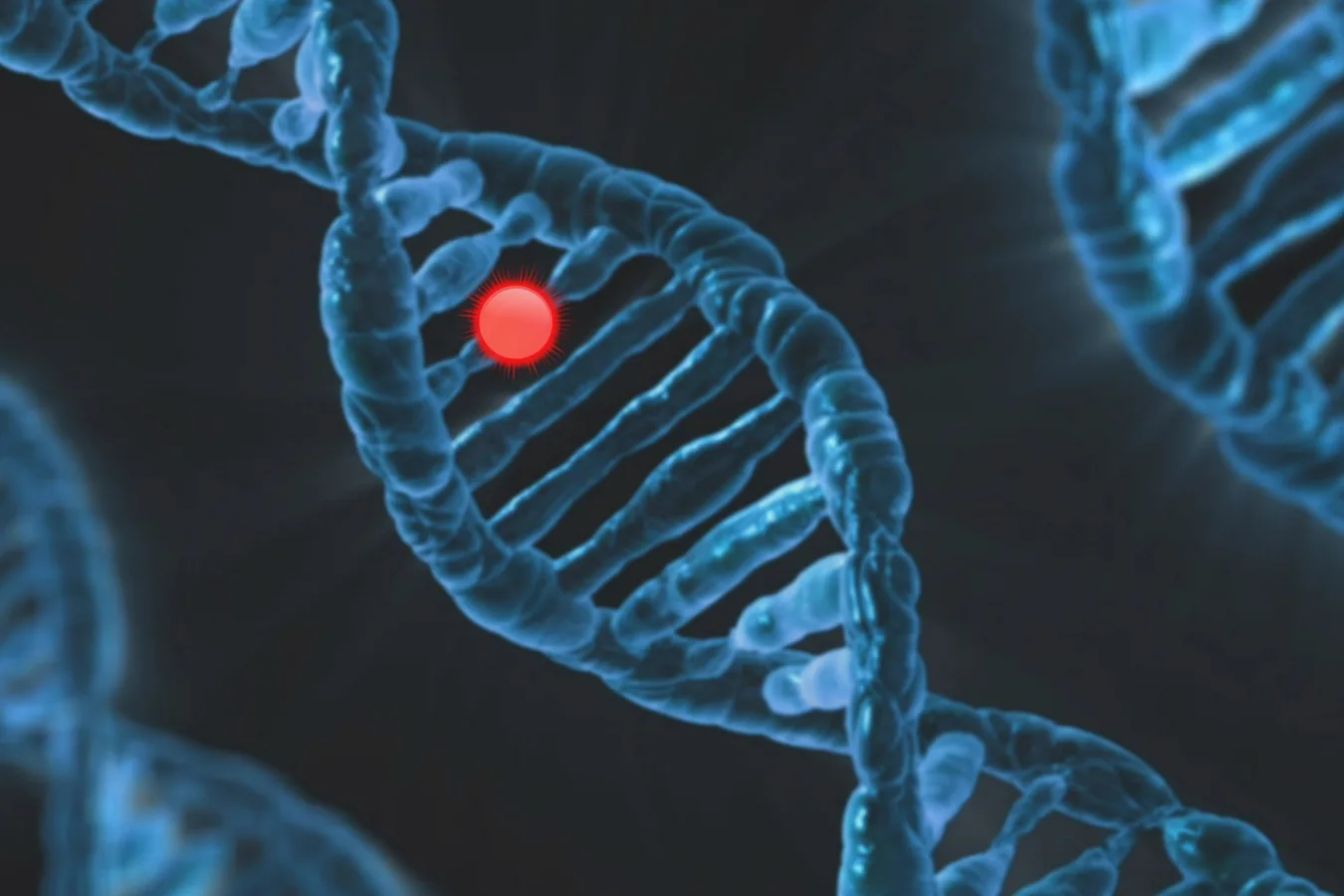 Representação do DNA aplicada ao mapeamento genético na reprodução assistida