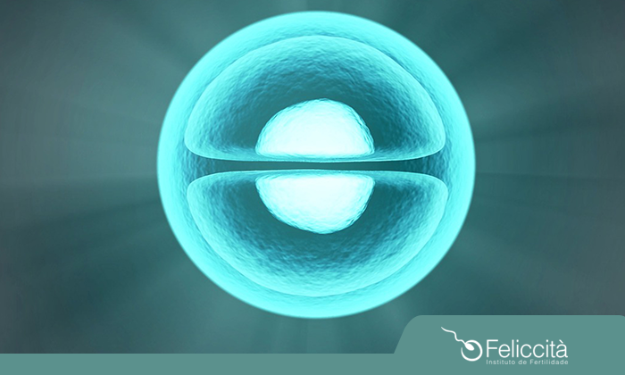 Entenda como funciona o procedimento de fertilização in vitro