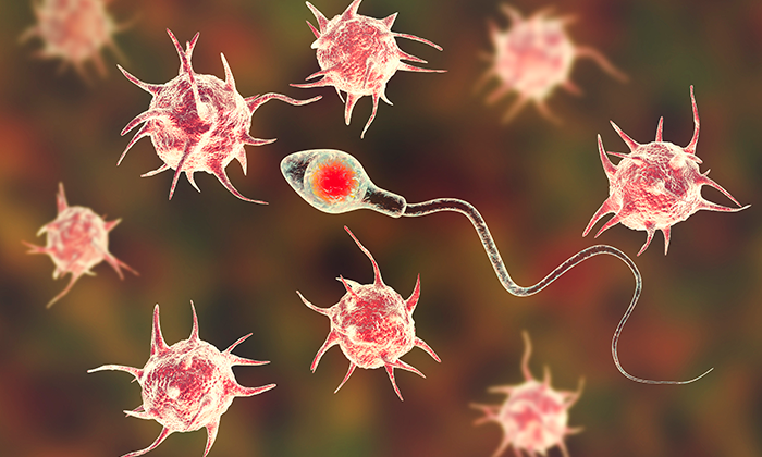 O papel do urologista na fertilidade masculina