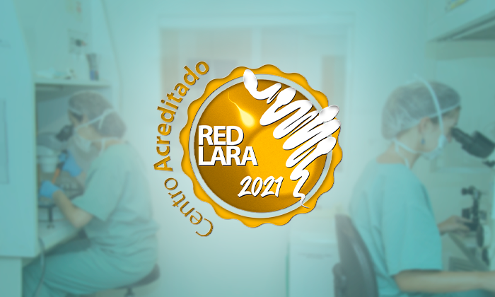 Feliccità recebe “Selo Ouro” 2021 da Red Latinoamericana de Reproducción Asistida (RedLara)