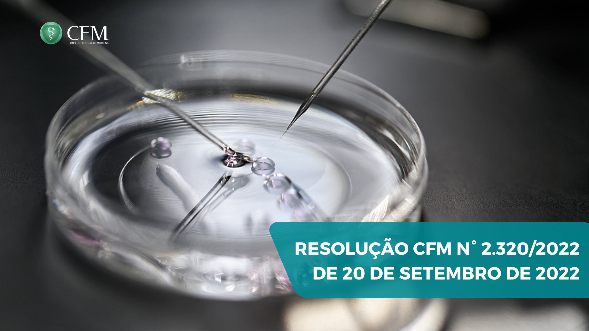 NOVAS NORMAS ÉTICAS DO CONSELHO FEDERAL DE MEDICINA PARA UTILIZAÇÃO DE TÉCNICAS DE REPRODUÇÃO ASSISTIDA NO BRASIL