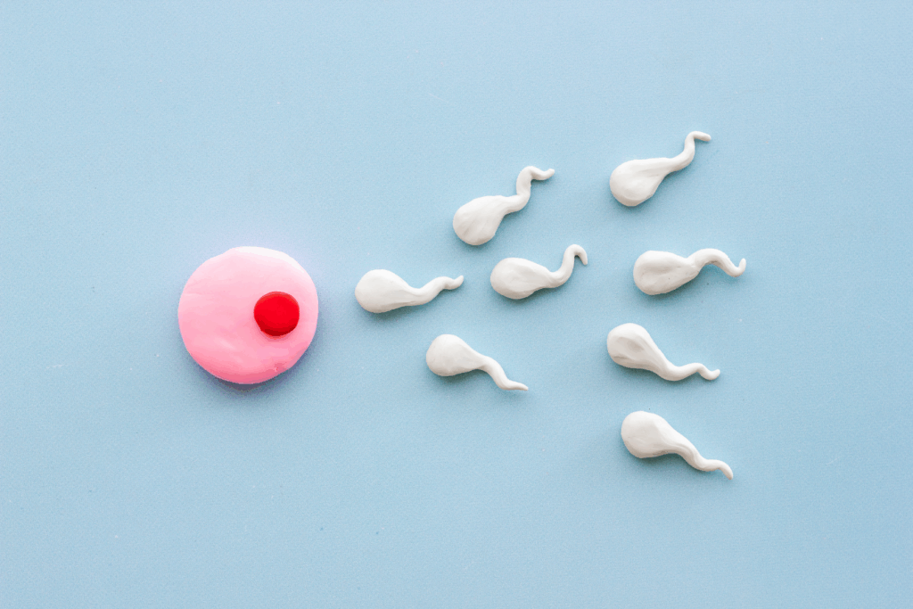 Qual é a clínica de fertilidade ideal para meu tratamento?