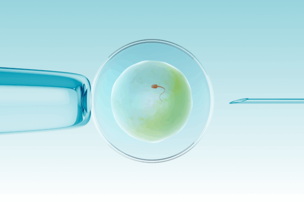 Fertilização in vitro passo a passo: como funciona cada etapa da FIV